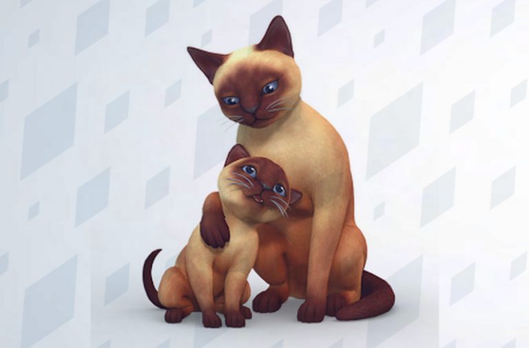 Render de gatitos en Los Sims 4 Perros y Gatos