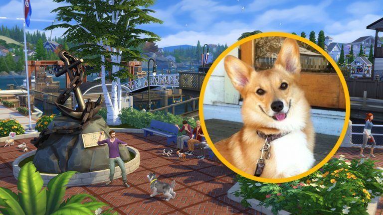 Blog oficial: Perros y gatos: cuestión de control