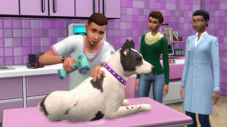 ¡Abre tu propia clínica veterinaria!