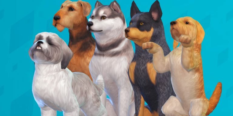 Conoce las 124 razas predeterminadas de perritos en Los Sims 4 Perros & Gatos