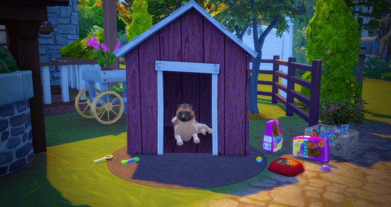 CC: Conversión de accesorios de mascotas de LS3 a LS4