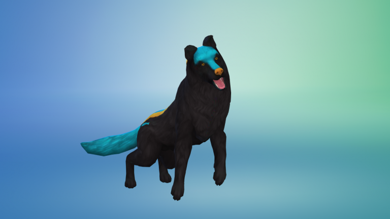 Desafío comunitario #3: ¡Muéstranos tu orgullo local!