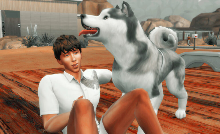 Mod: ¡Controla a tus mascotas!