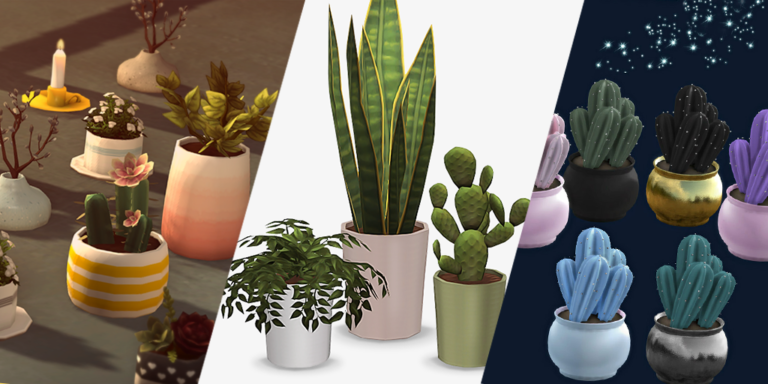 CC: Plantas de interior, dale mas vida a tus decoraciones!