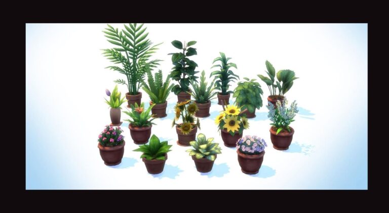 CC: Más plantas en maceteros para interiores