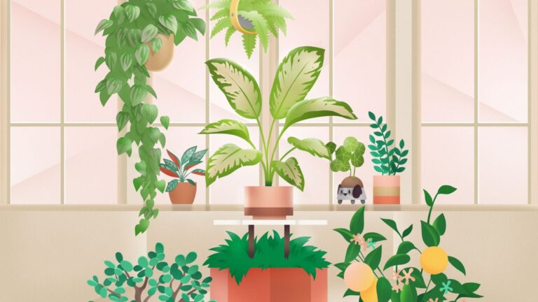 Todo sobre Los Sims 4 Decoración Vegetal – Kit