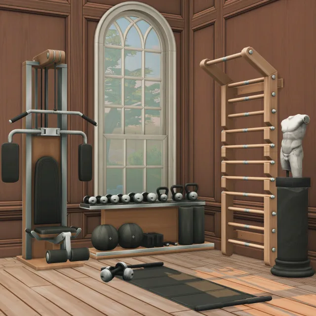 Vista previa de Hello everyone lets get physical physical, construir y comprar de felixandresims para Los Sims 4.