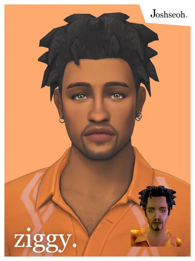 Vista previa de Ziggy Tutti cabello (The Sims Bustin' Out to TS4 cabello conversiones) - FREE, cabello de joshseoh para Los Sims 4.